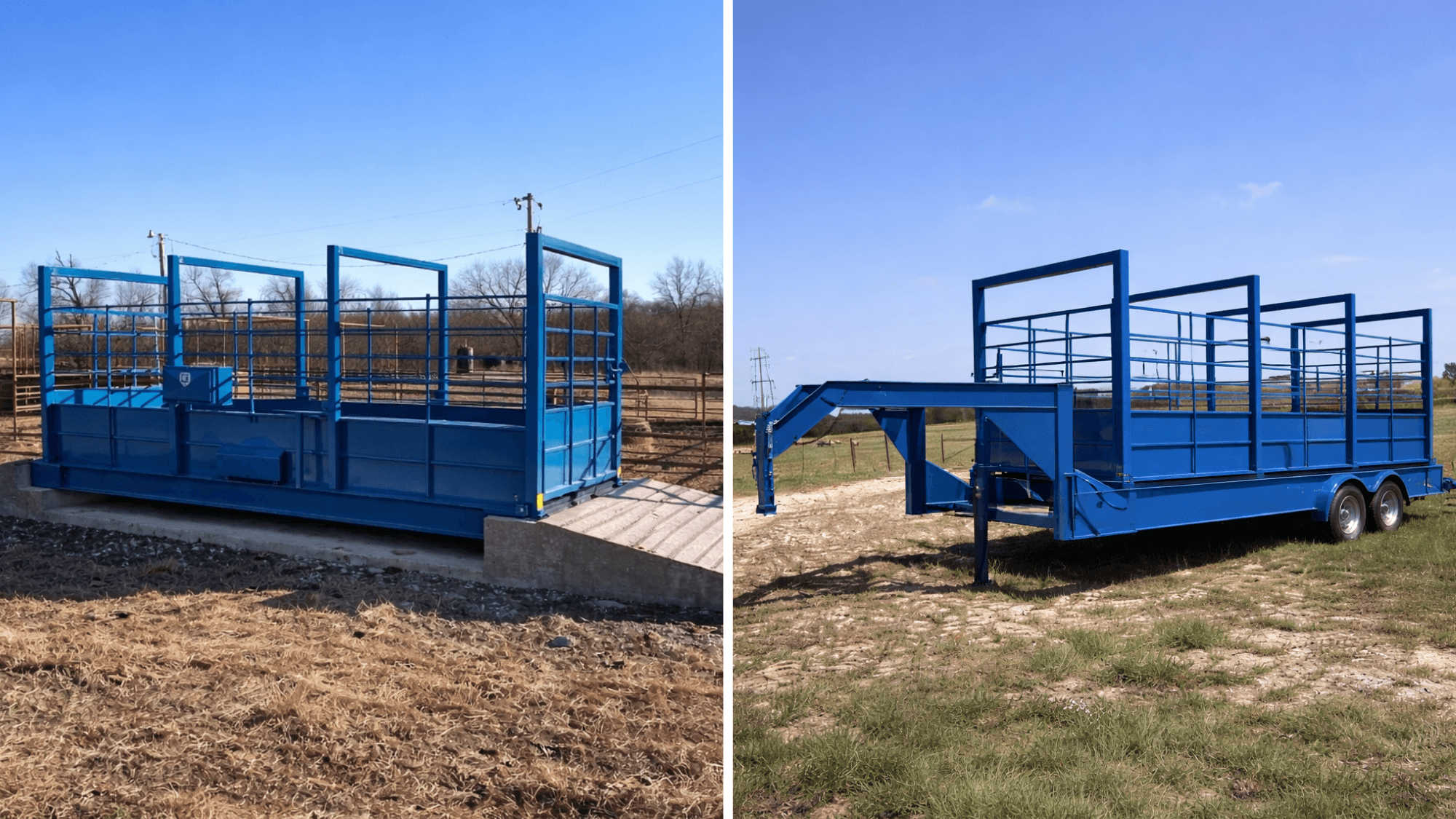 Portable vs. Permanent Livestock Scales – Which One Fits Your Operation